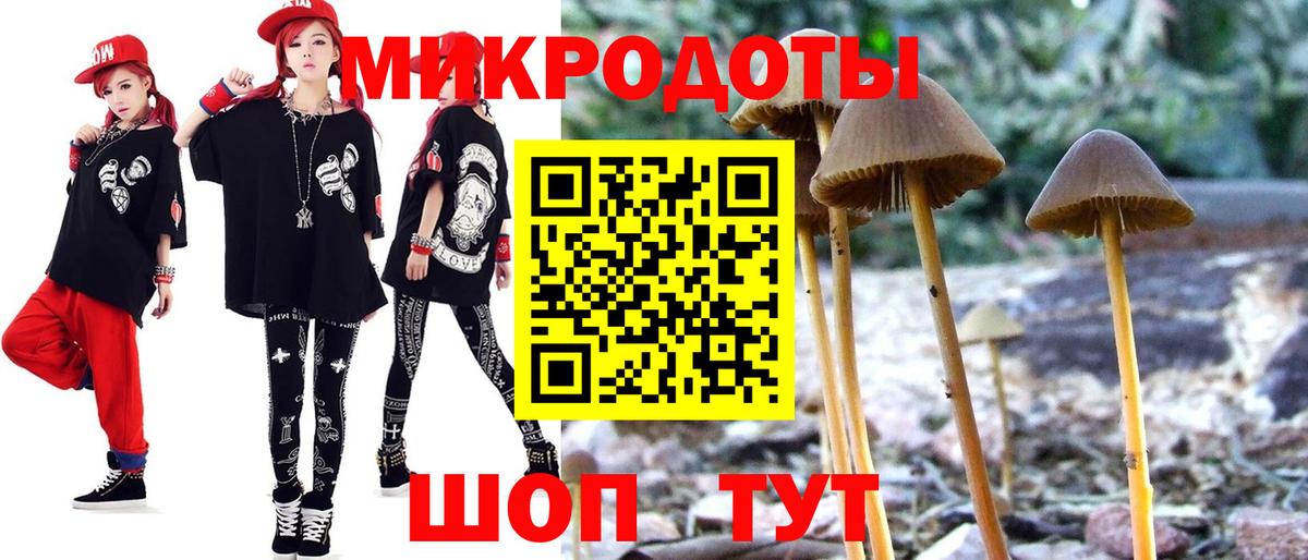Галлюциногенные грибы Psilocybine cubensis Черкесск