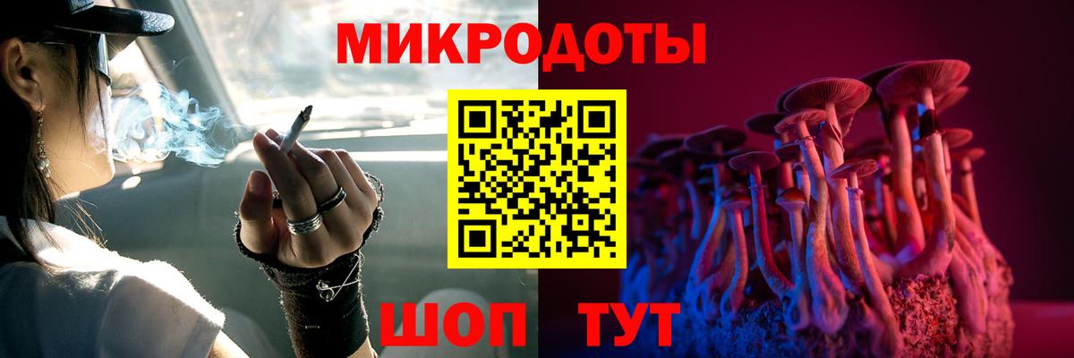 Черкесск  Псилоцибиновые грибы Cubensis  Вход с VPN  Псилоцибиновые грибы Psilocybe 