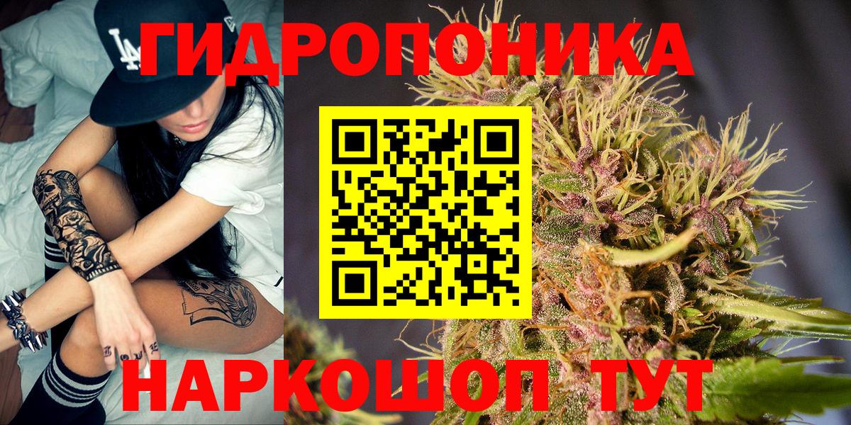 Бошки Шишки MAZAR Черкесск